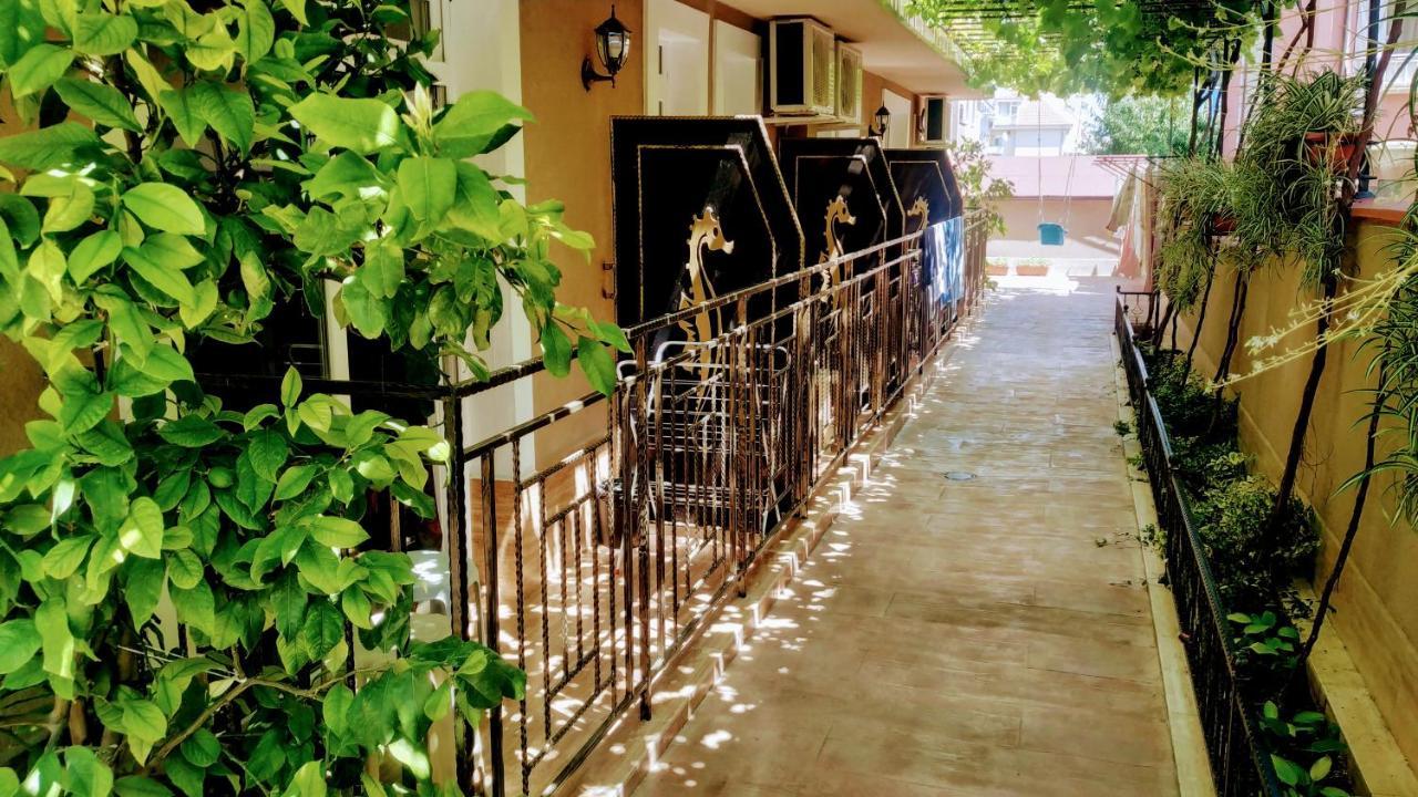 Dracena Guesthouse Ravda Exterior foto