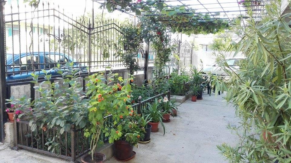 Dracena Guesthouse Ravda Exterior foto